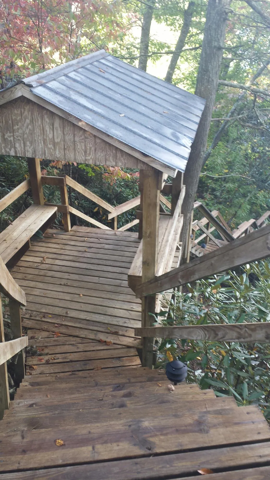 Metal roofed shelter over wooden steps on a wooded walkway — Skylight Repair & Installation work by our crew in Larwill