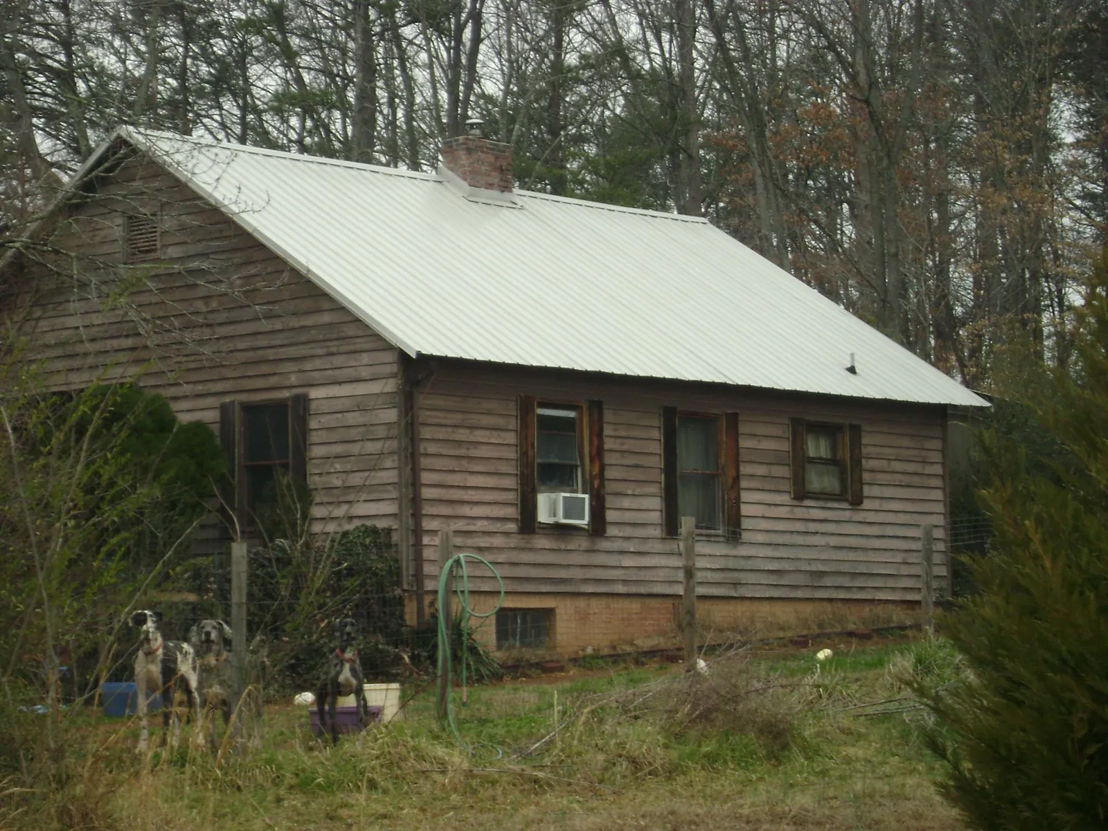 White metal roof on an old wood sided farmhouse, from a Asphalt Shingle Roof Repair job in Larwill